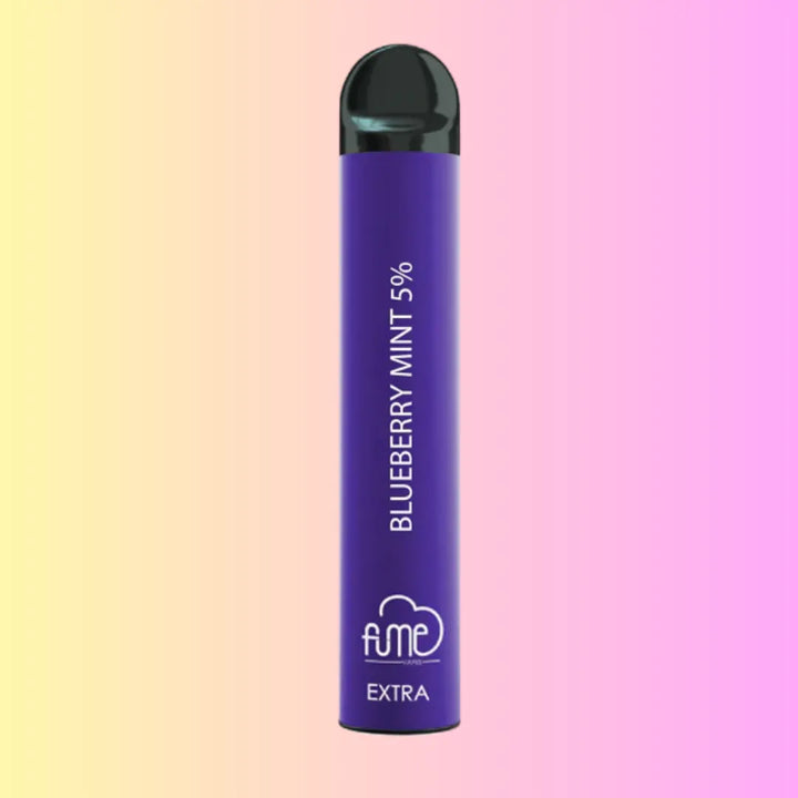 BLUEBERRY MINT Fume Extra Disposable Vape - 1500 Puffs 5% Nic 